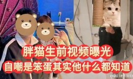 笨蛋最新爆料视频,惊人内幕大公开！