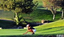 娱乐圈爆料50条狗是谁,揭秘50位明星背后的神秘“狗友”